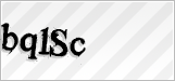 CAPTCHA security code