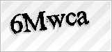 CAPTCHA security code
