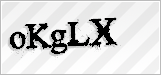 CAPTCHA security code