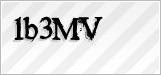 CAPTCHA security code
