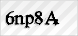 CAPTCHA security code
