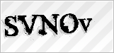 CAPTCHA security code