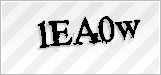 CAPTCHA security code