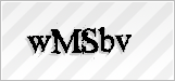 CAPTCHA security code
