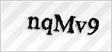 CAPTCHA security code