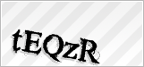 CAPTCHA security code