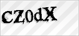 CAPTCHA security code