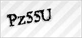 CAPTCHA security code