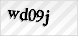 CAPTCHA security code