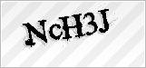 CAPTCHA security code