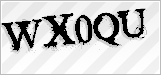 CAPTCHA security code