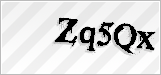 CAPTCHA security code