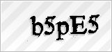 CAPTCHA security code