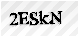 CAPTCHA security code