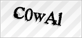 CAPTCHA security code