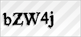 CAPTCHA security code