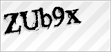 CAPTCHA security code