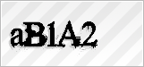 CAPTCHA security code