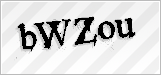 CAPTCHA security code