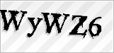 CAPTCHA security code