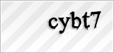 CAPTCHA security code