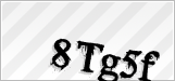 CAPTCHA security code