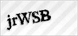 CAPTCHA security code