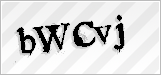 CAPTCHA security code