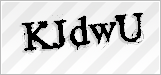 CAPTCHA security code