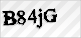 CAPTCHA security code