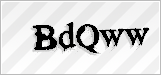 CAPTCHA security code