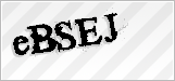 CAPTCHA security code