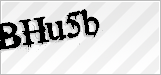 CAPTCHA security code