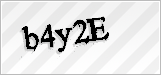 CAPTCHA security code