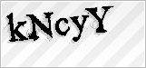CAPTCHA security code