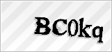 CAPTCHA security code