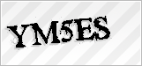 CAPTCHA security code
