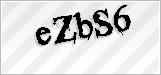CAPTCHA security code
