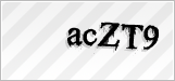 CAPTCHA security code