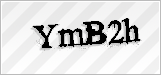 CAPTCHA security code