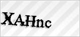CAPTCHA security code