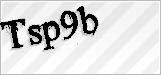 CAPTCHA security code