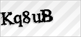 CAPTCHA security code