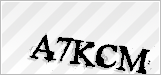 CAPTCHA security code
