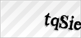 CAPTCHA security code