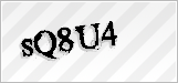 CAPTCHA security code