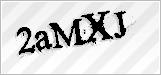 CAPTCHA security code