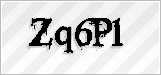 CAPTCHA security code