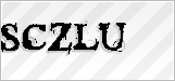 CAPTCHA security code