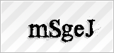 CAPTCHA security code